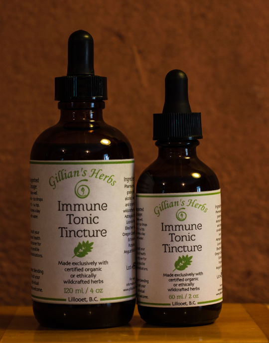 Immune Tonic Tincture Blend (60mL/2 oz or 120 mL/4 oz)